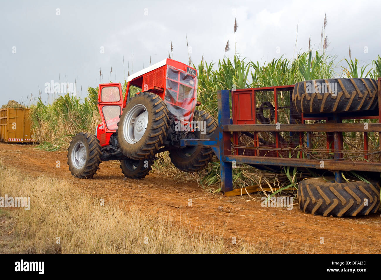 Traktor mit umgestürzten Anhänger, Flic En Flac, Mauritius Stockfoto
