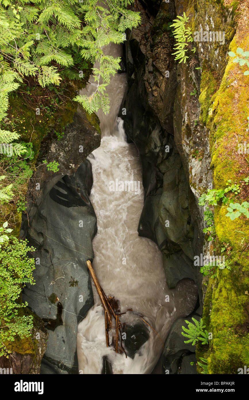 Box Canyon des Cowlitz River. Mount Ranier National Park, Washington. Stockfoto
