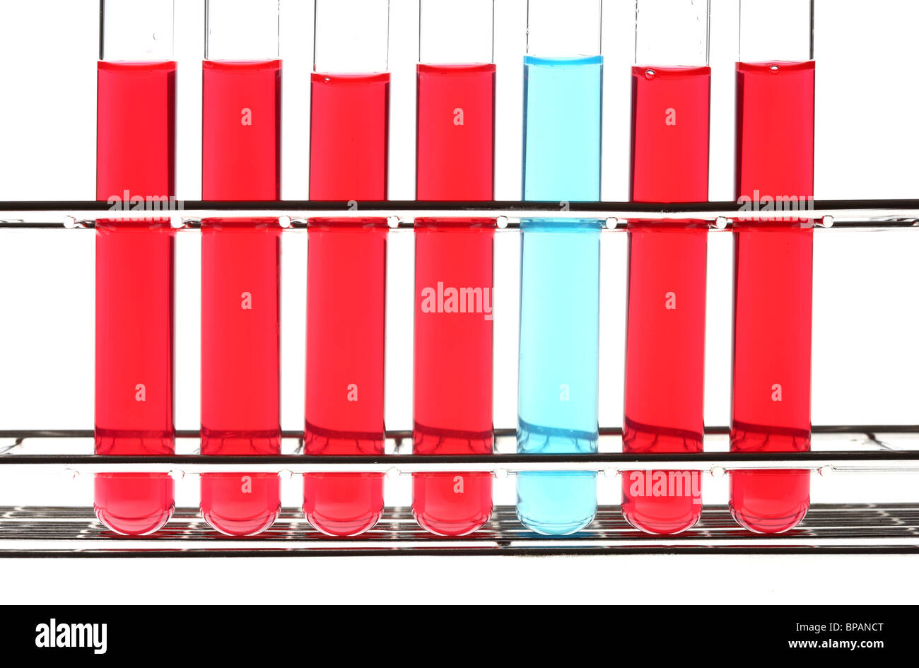 Chemikalien in Reagenzgläser. Flüssige Chemikalien in einem chemischen Labor. Stockfoto