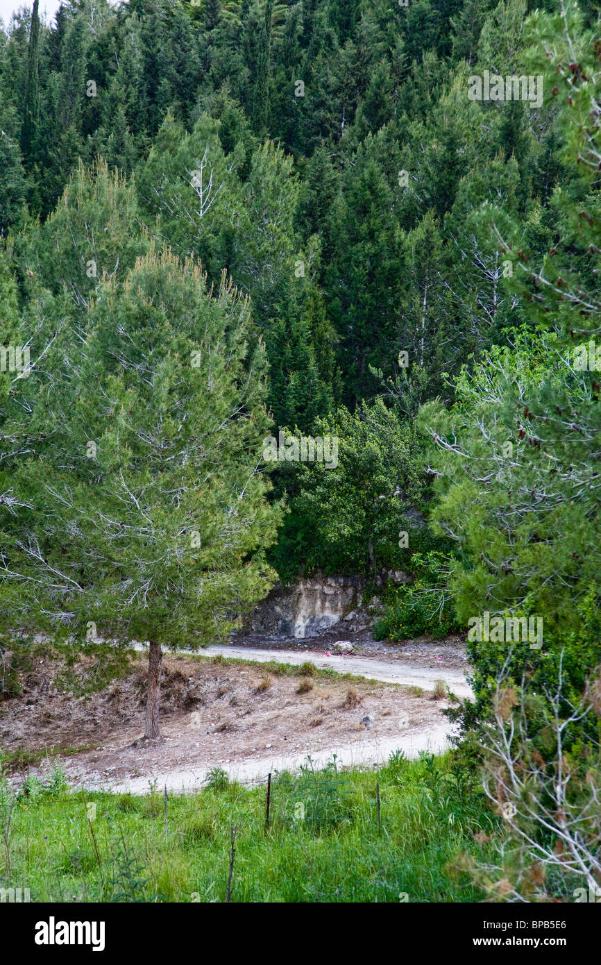 Israel, Ramat Menashe, Nahal Hashofet Naturschutzgebiet Stockfoto