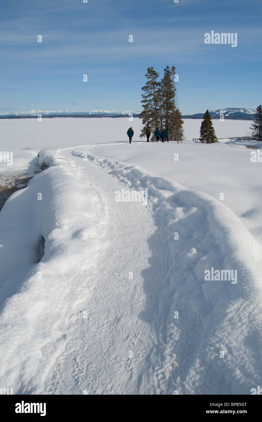 USA, Wyoming. Yellowstone-Nationalpark, West Thumb Geyser Basin Trail im Winter. Stockfoto