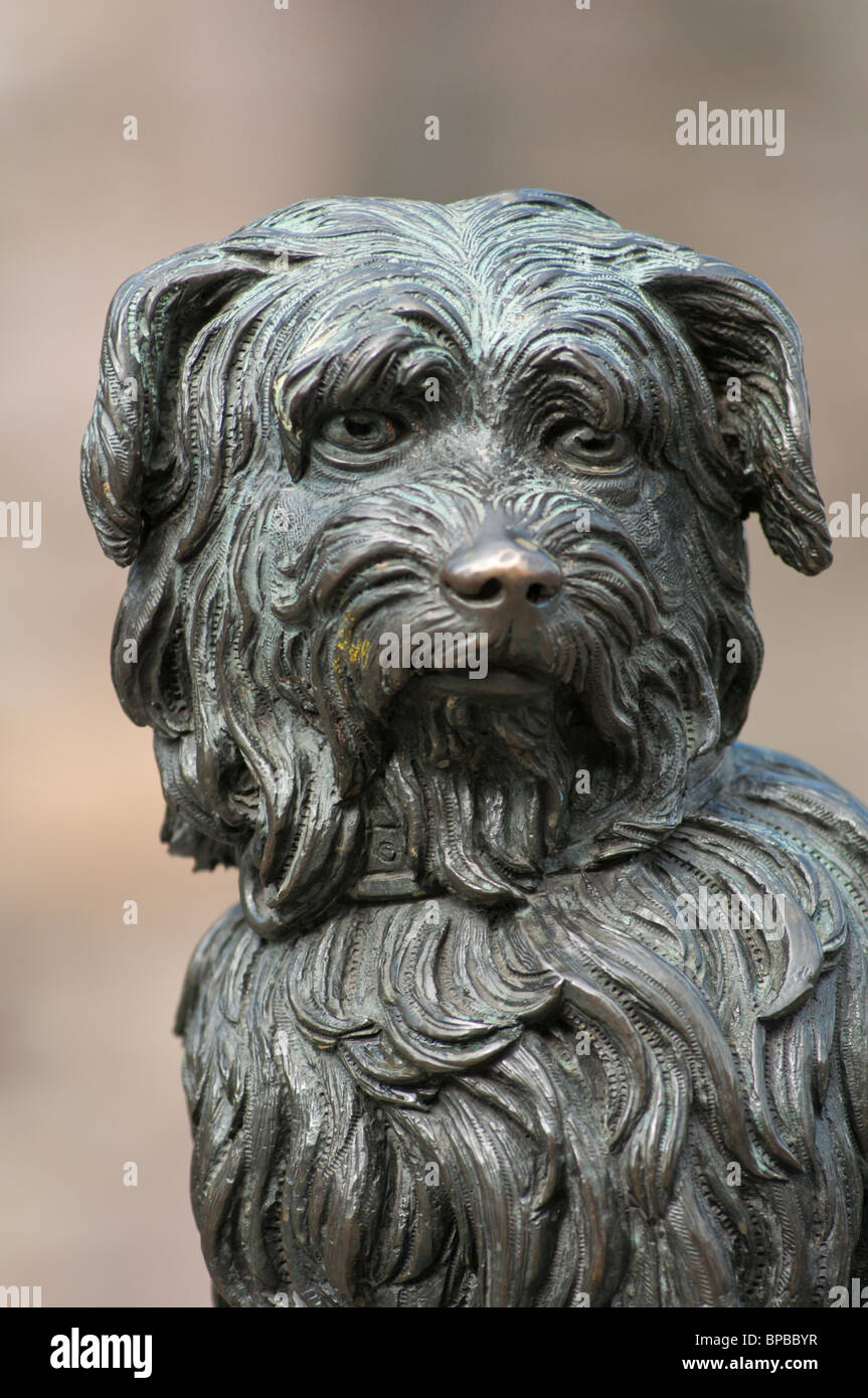 Berühmte Statue des grauen Brüder Bobby den Hund in Edinburgh UK 2010 Stockfoto