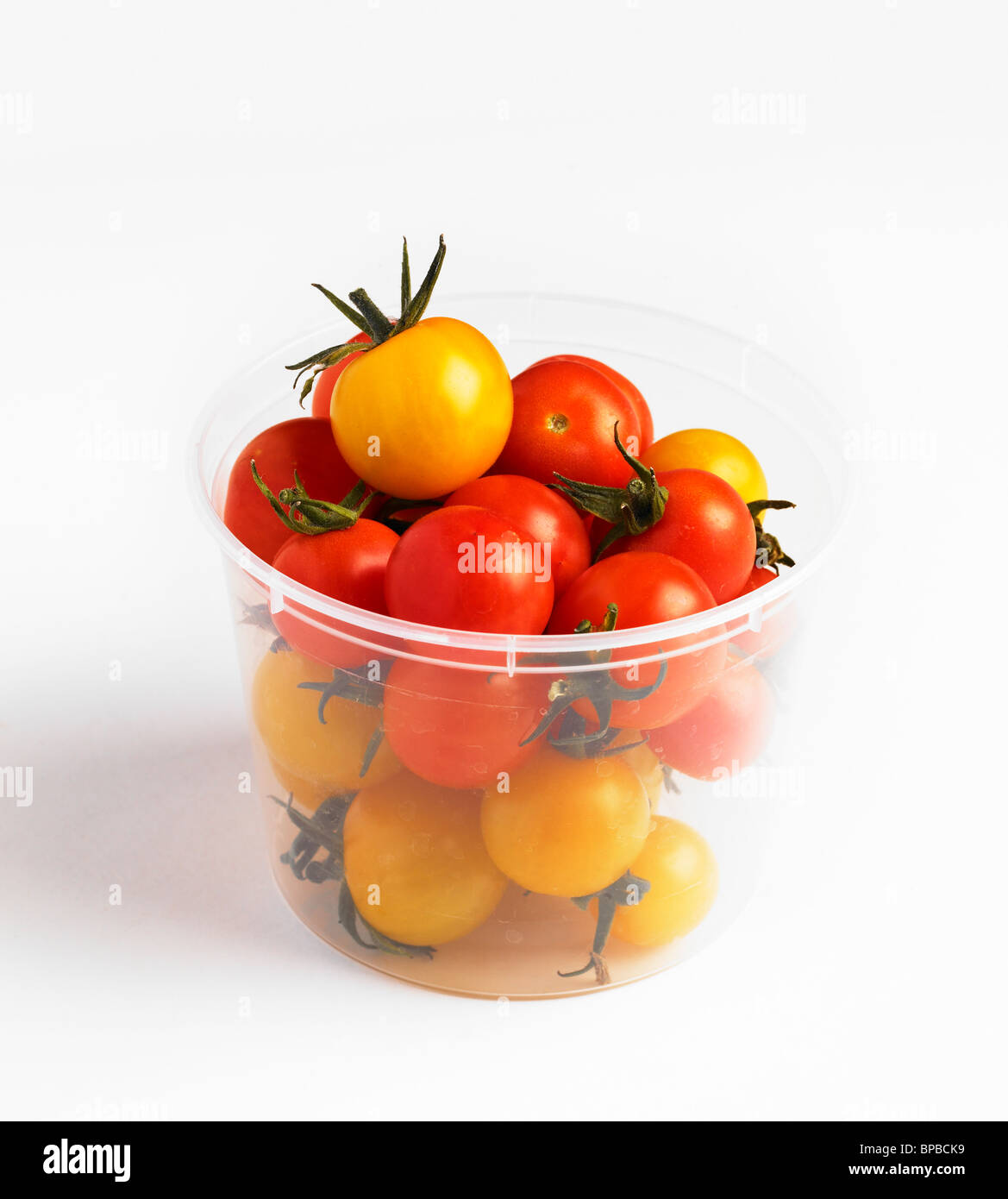 Wanne mit frisch gepflückten Tomaten nach Hause Stockfoto