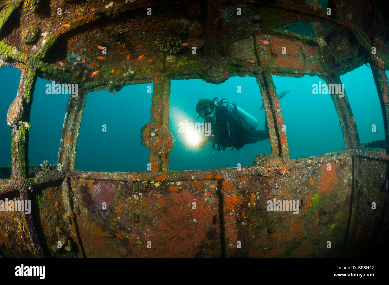 Ein Taucher erkunden das Wrack von einem kleinen Schlepper Boot im Hafen von Sabang, Pulau Weh, Sumatra, Indonesien. Stockfoto