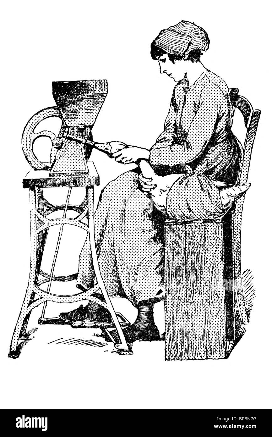 Frau Kraft Fütterung Gans, Gänseleber zu machen. Antike Darstellung. 1900. Stockfoto