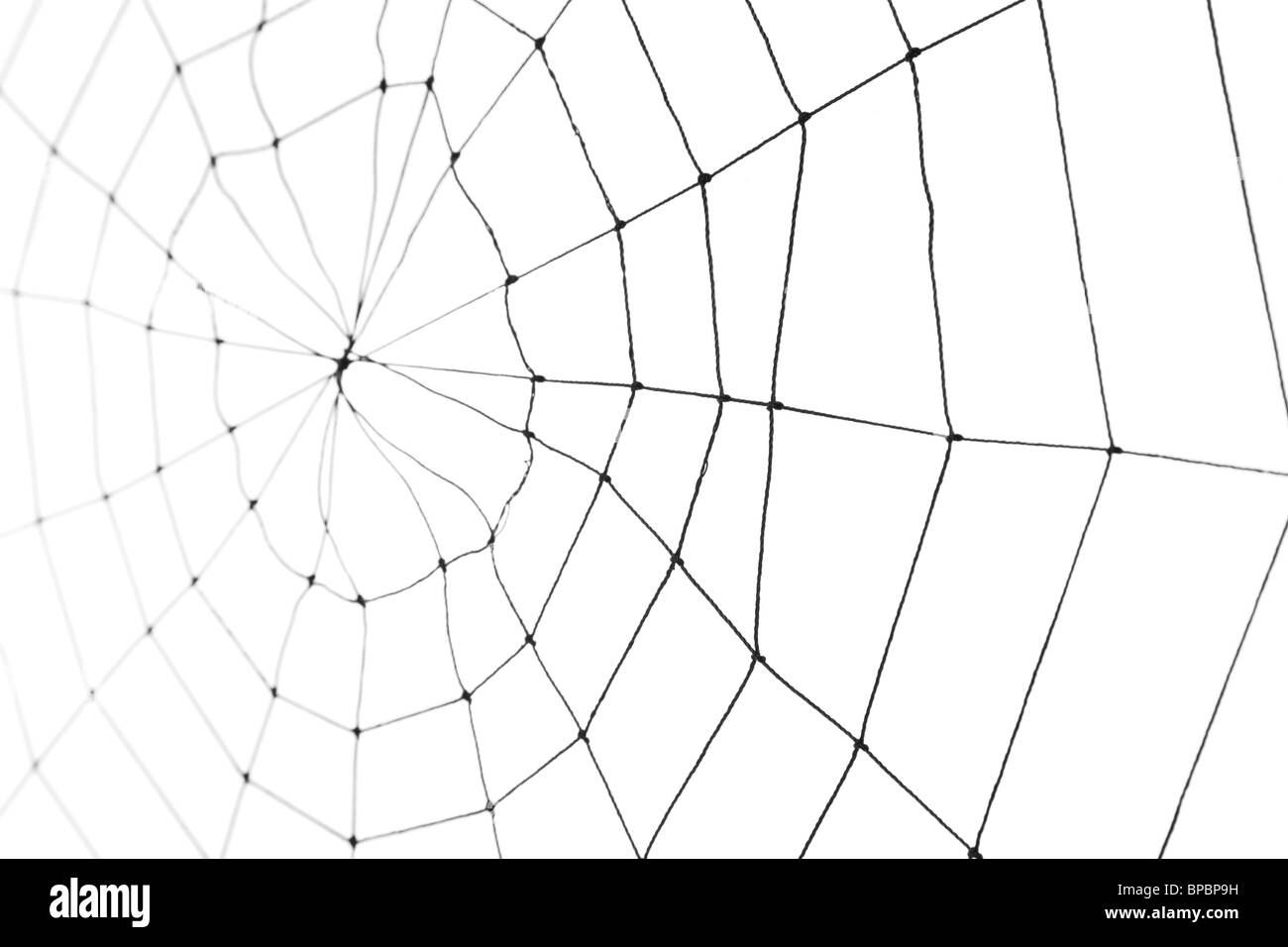 Spinnennetz für Nutzung im Hintergrund Stockfoto