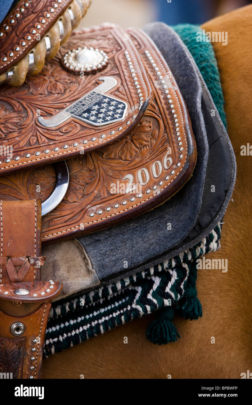 Nahaufnahme der Heftzwecke auf einem Pferd, Chaffee County Fair & Rodeo Stockfoto