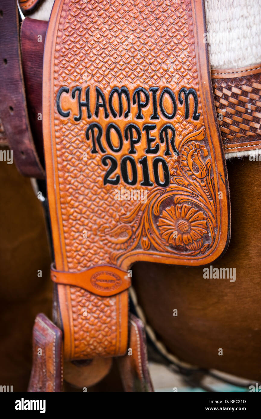 Nahaufnahme der Sattel & Tack auf einem Pferd, Chaffee County Fair & Rodeo Stockfoto