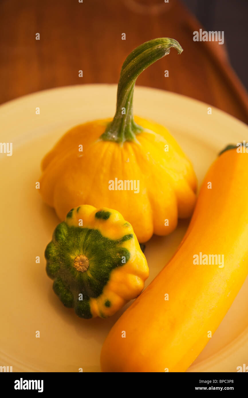 Cucurbita pepo sunburst -Fotos und -Bildmaterial in hoher Auflösung – Alamy
