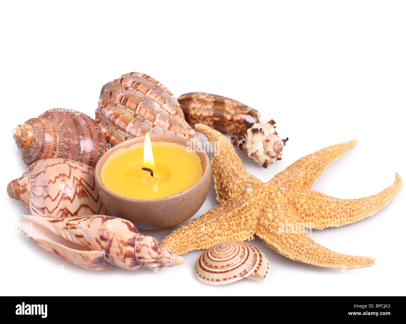 Muscheln, Seesterne und Kerze isoliert auf weißem Hintergrund Stockfoto