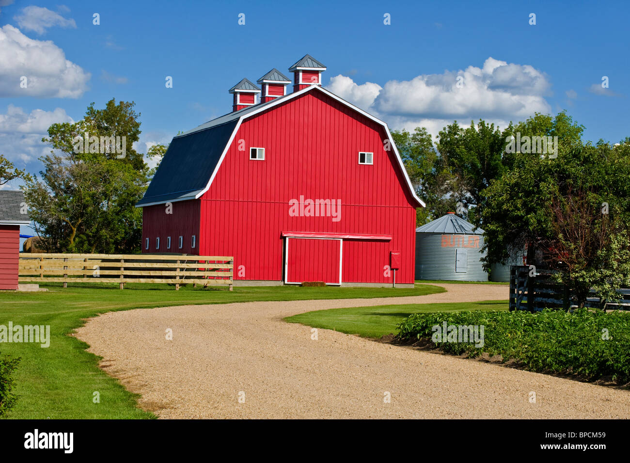 Diese horizontale Bauernhof Aufnahme wurde einem hellen Sommertag in der Nähe von Westlock, Alberta. Stockfoto