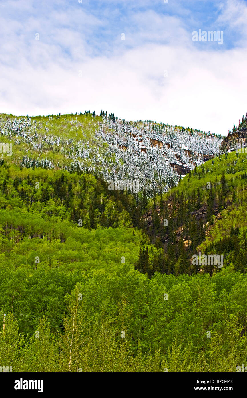 Eine Feder Berglandschaft Stockfoto
