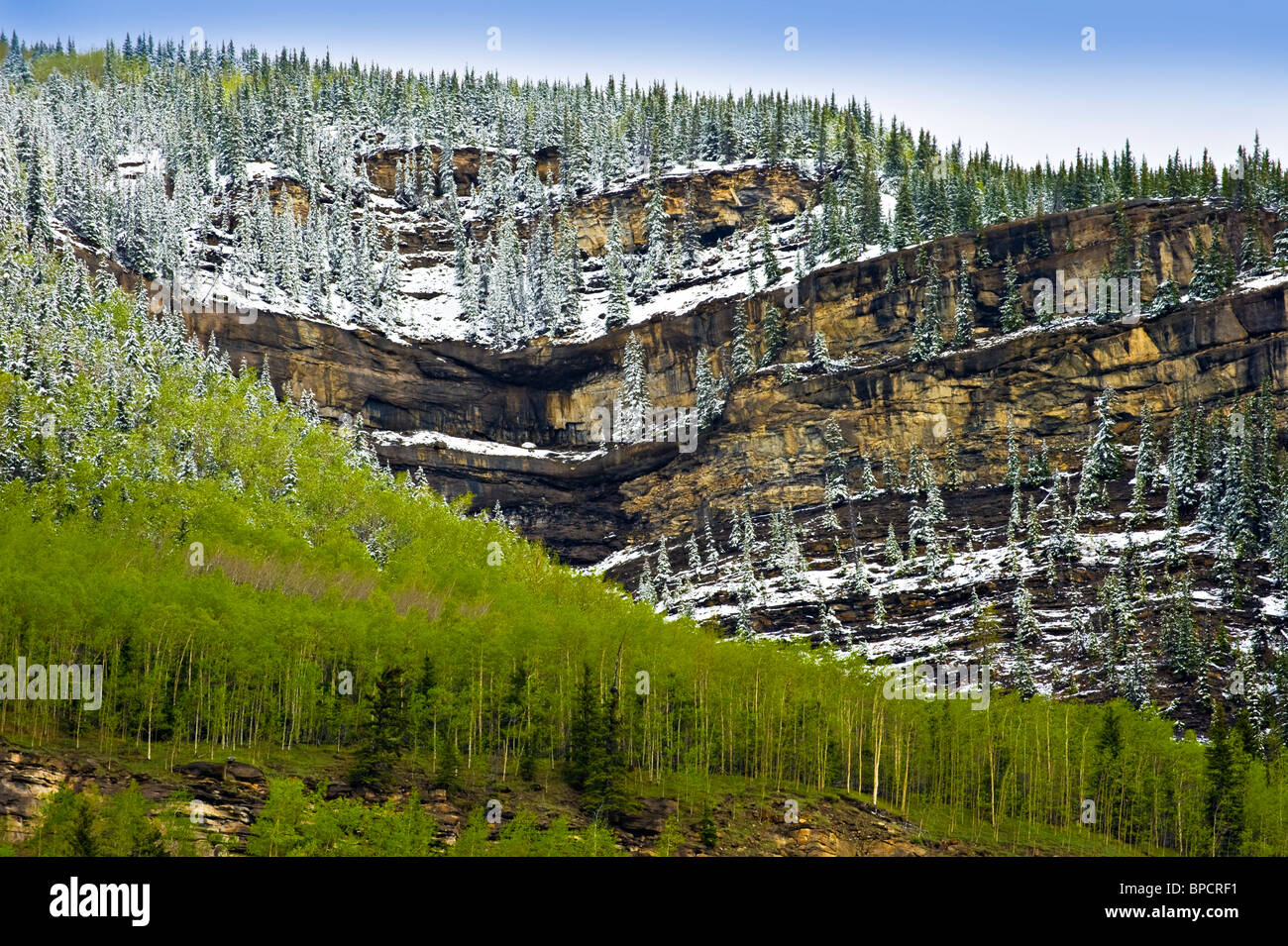 Eine Frühlingslandschaft von exponierten Gesteinsschichten Stockfoto