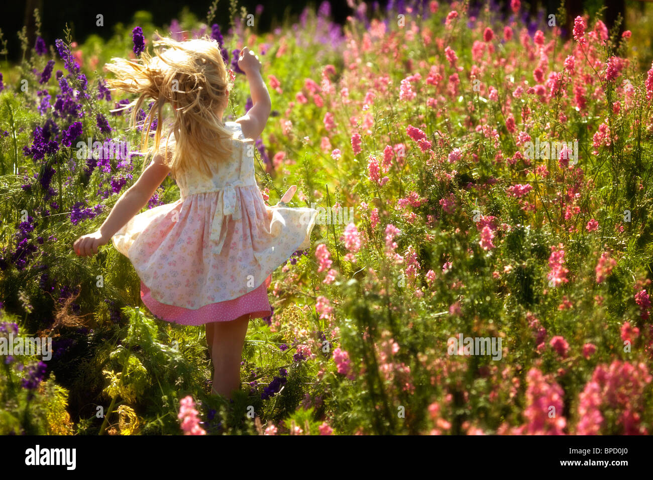 Junge Mädchen laufen in Blumenfeld Stockfoto