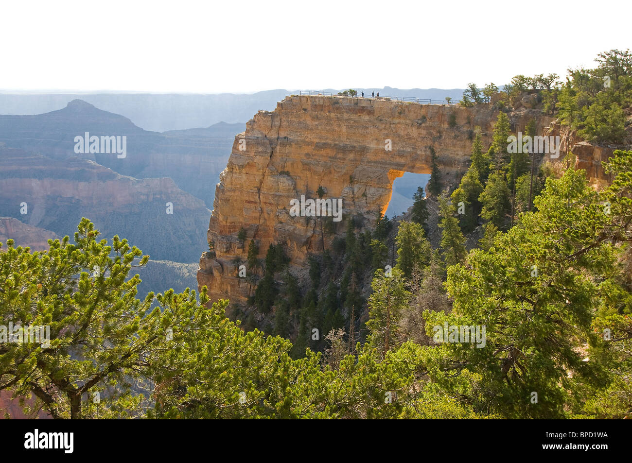 Engel Fenster North Rim Grand Canyon National Park-Arizona Stockfoto