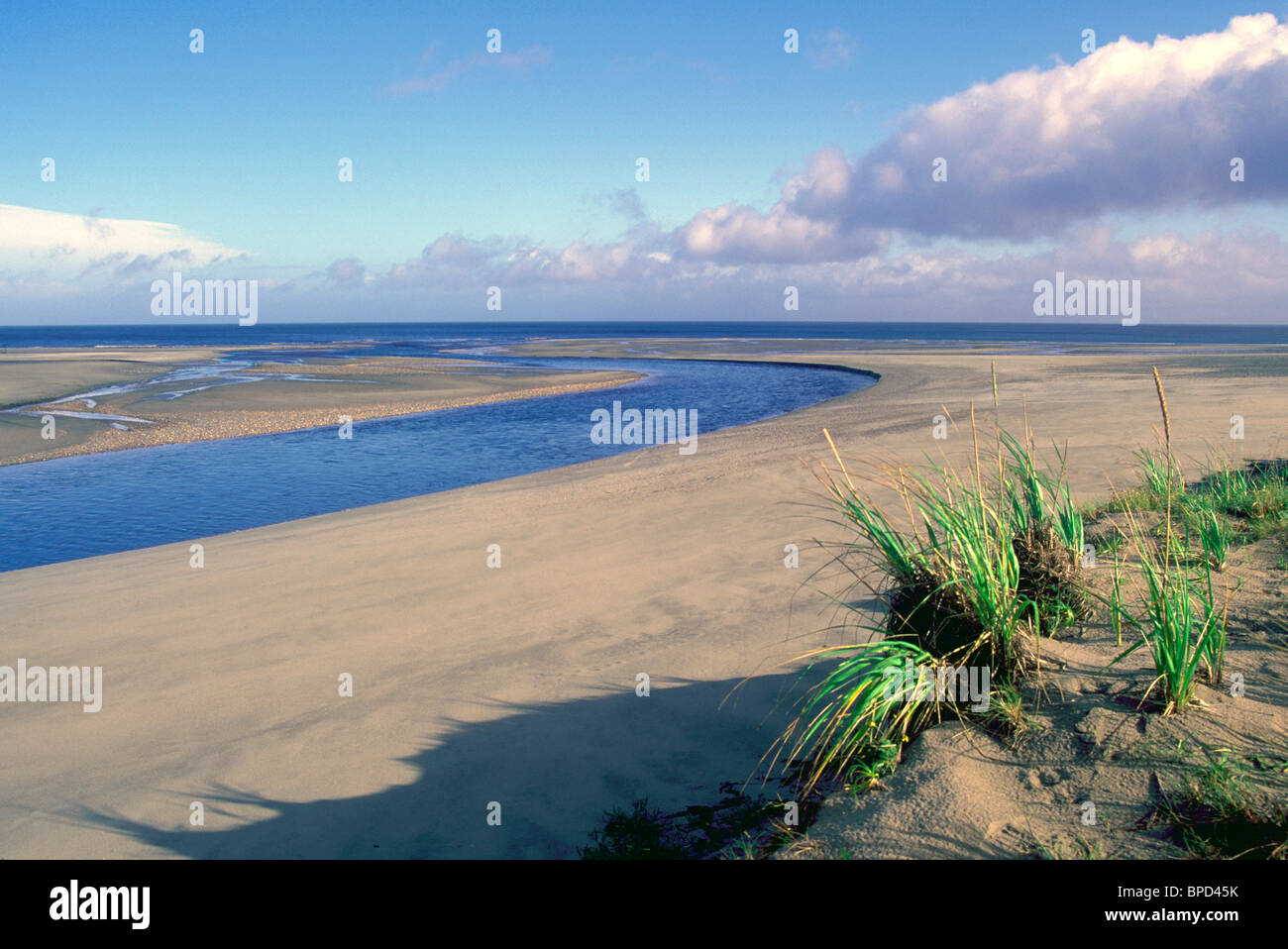 Haida Gwaii (Queen Charlotte Islands), Norden von British Columbia, Kanada - Naikoon Provincial Park, Graham Island, Sangan Fluss Stockfoto