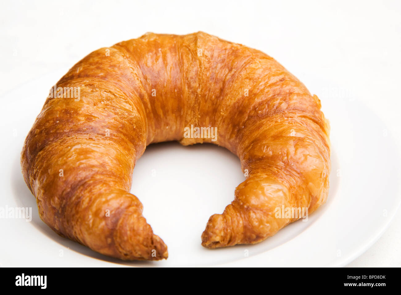 Bamberger hörnchen Fotos und Bildmaterial in hoher Auflösung Alamy