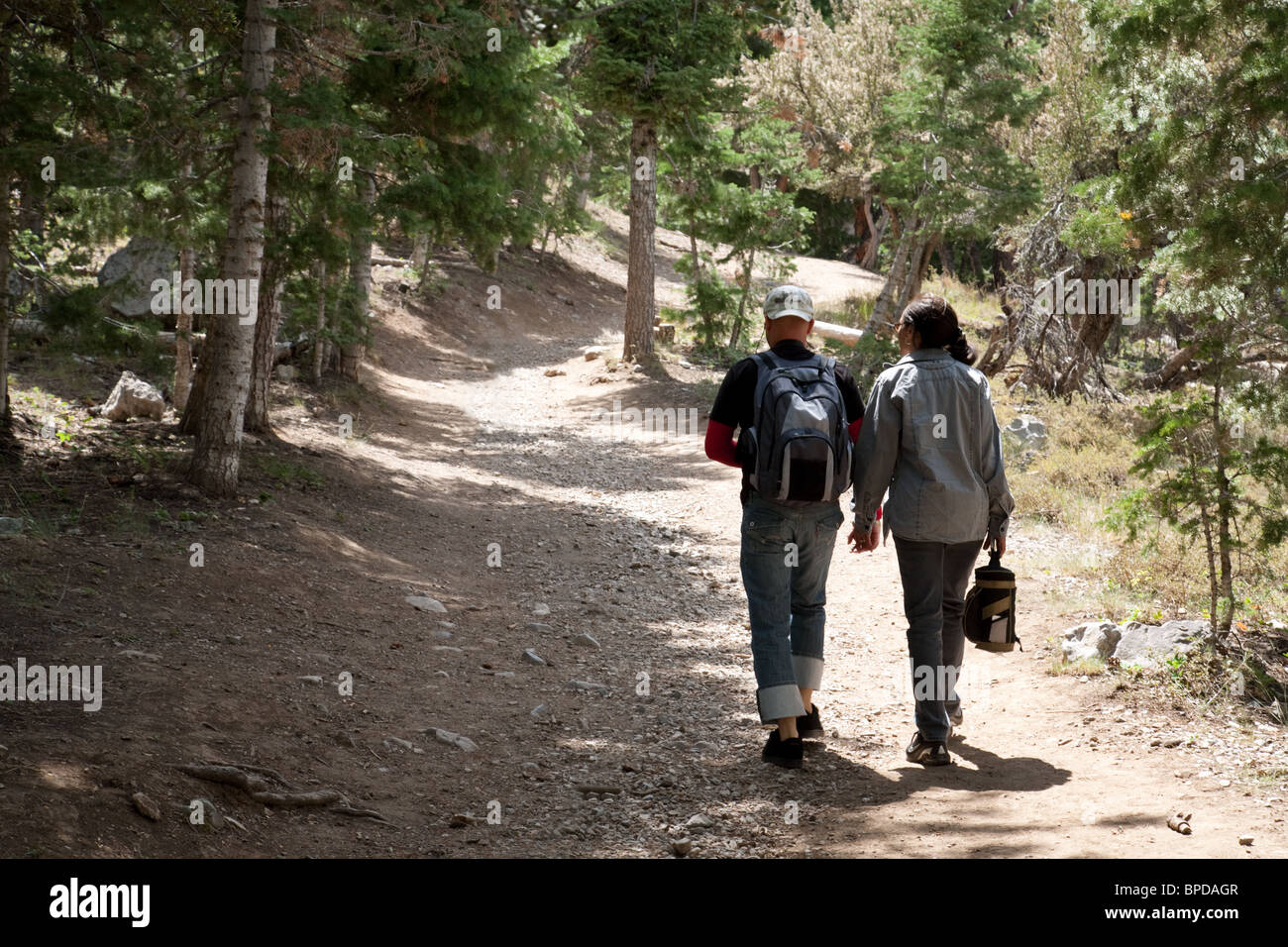 Ein paar Wandern in den Wäldern Mt Charleston in der Nähe von Las Vegas, Nevada, USA Stockfoto