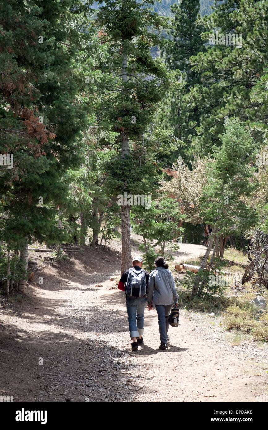 Ein paar Wandern in den Wäldern Mt Charleston in der Nähe von Las Vegas, Nevada, USA Stockfoto