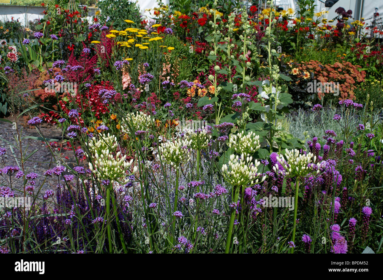 Bunt blühende Grenze im Sommer mit Nahaufnahme Detail der Pflanzen Stockfoto