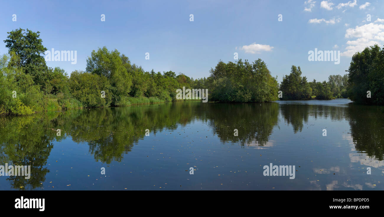 Die Banken von einem Fluss, See oder Reservoir, mit Büschen und Bäumen. Stockfoto