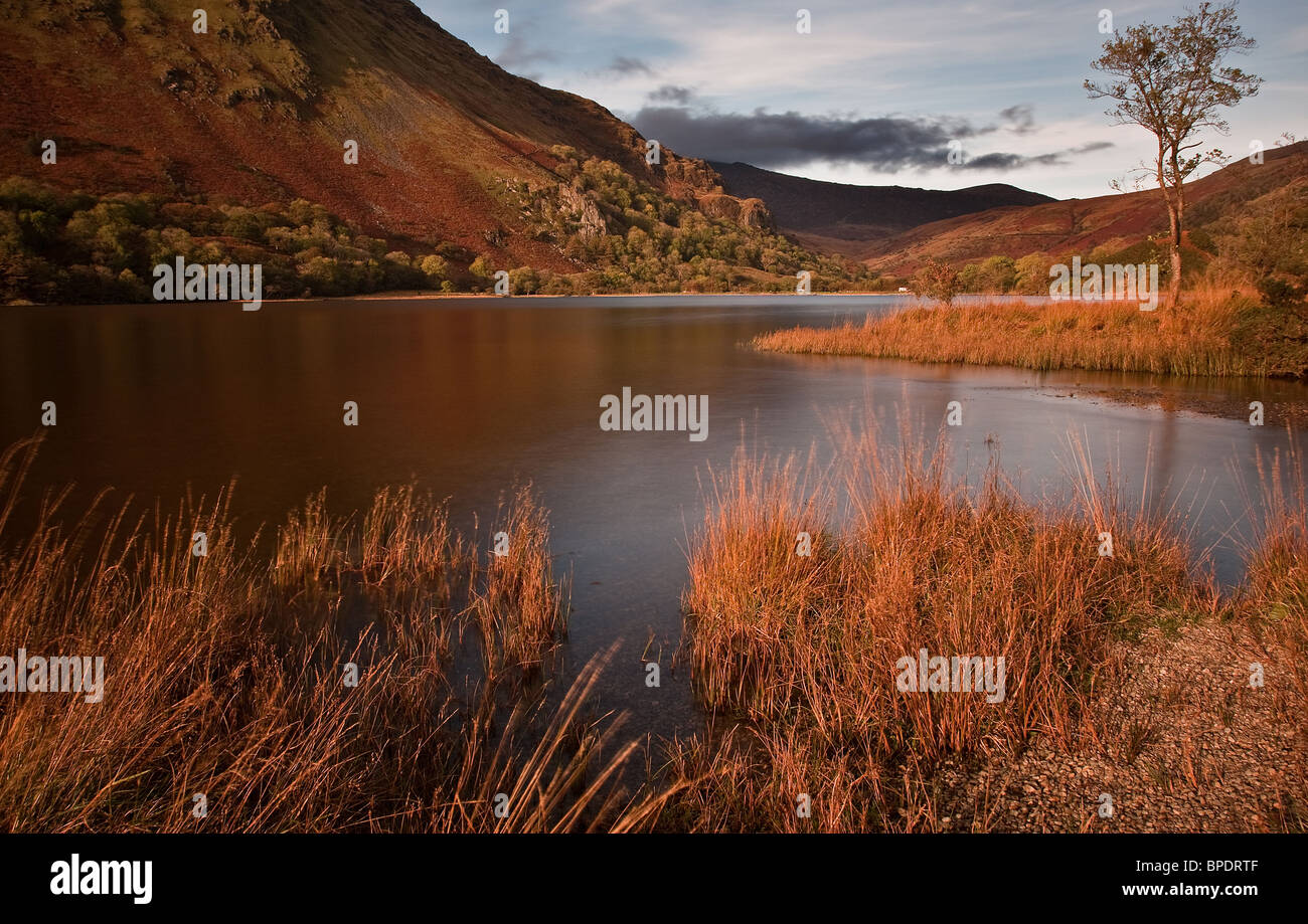 Herbstlichen See Llyn Gwynant, Nordwales Stockfoto