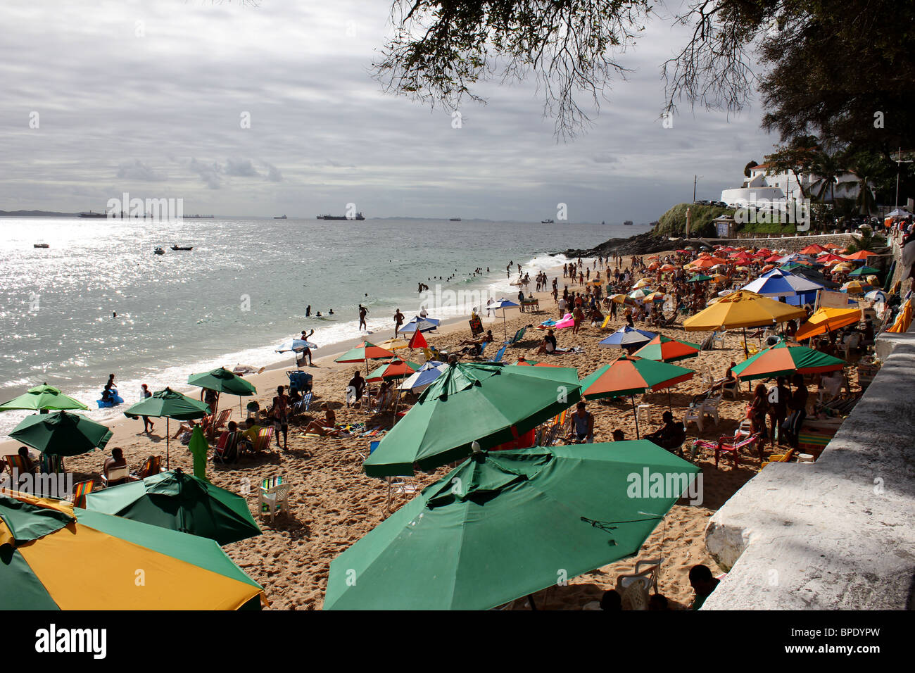 Strand von Barra Hafen - Porto da Barra Stockfoto