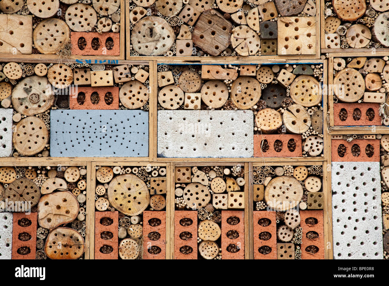 Wand aus Baumstämmen und anderen Materialien mit Bohrungen in ihnen als Teil einer Zuflucht für Insekten einschließlich Solitärbienen Kent UK Stockfoto