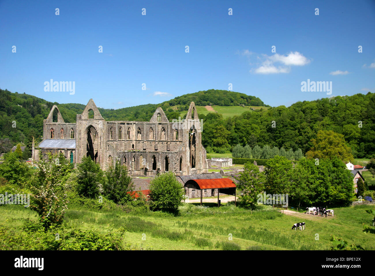 Tintern, Wales. Die Ruinen einer alten noch herrliche Abtei, Tintern Abbey in Wales. Stockfoto