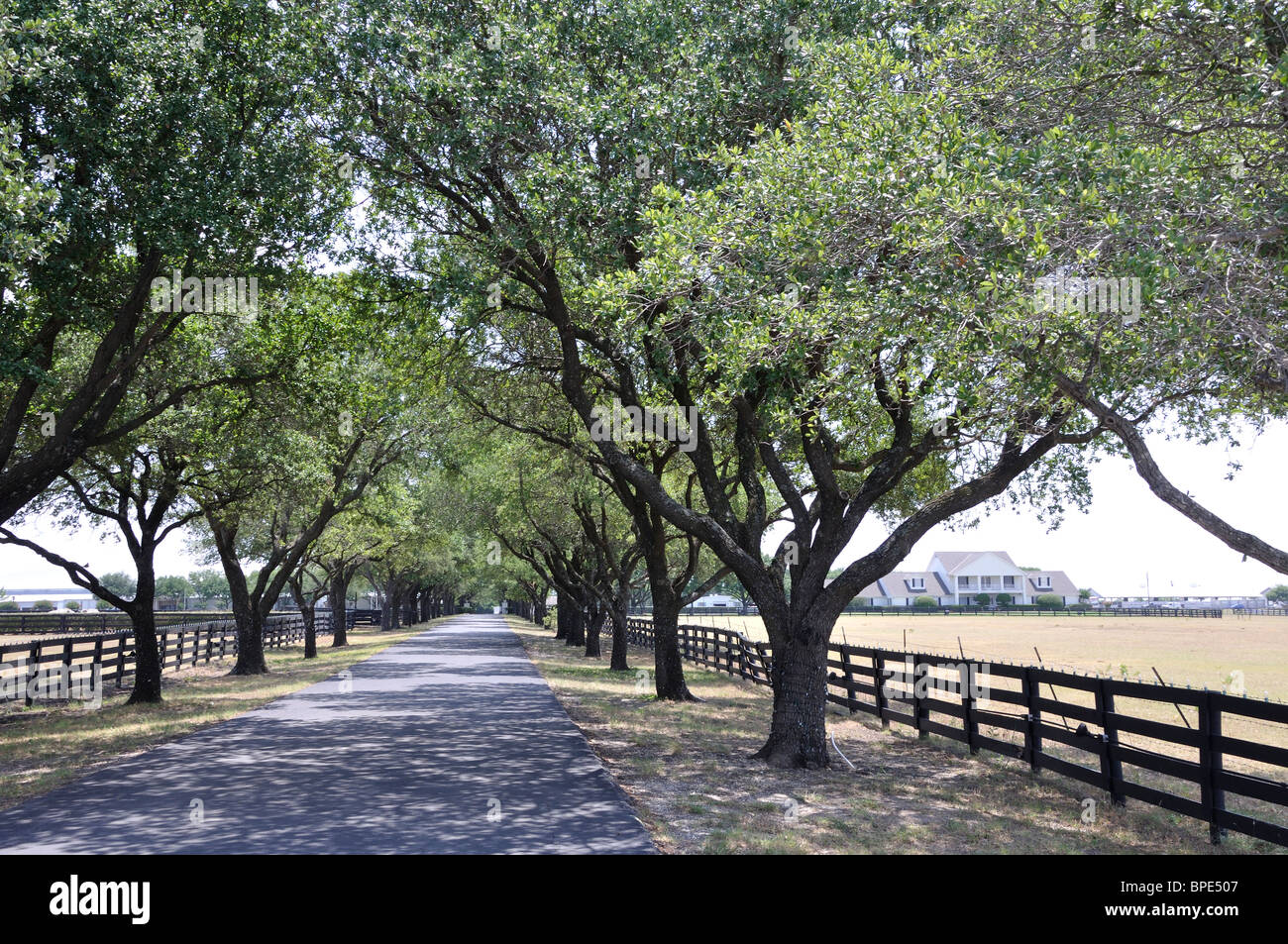 Southfork Ranch, Texas, USA - Form beliebten TV-Serie "Dallas" Stockfoto