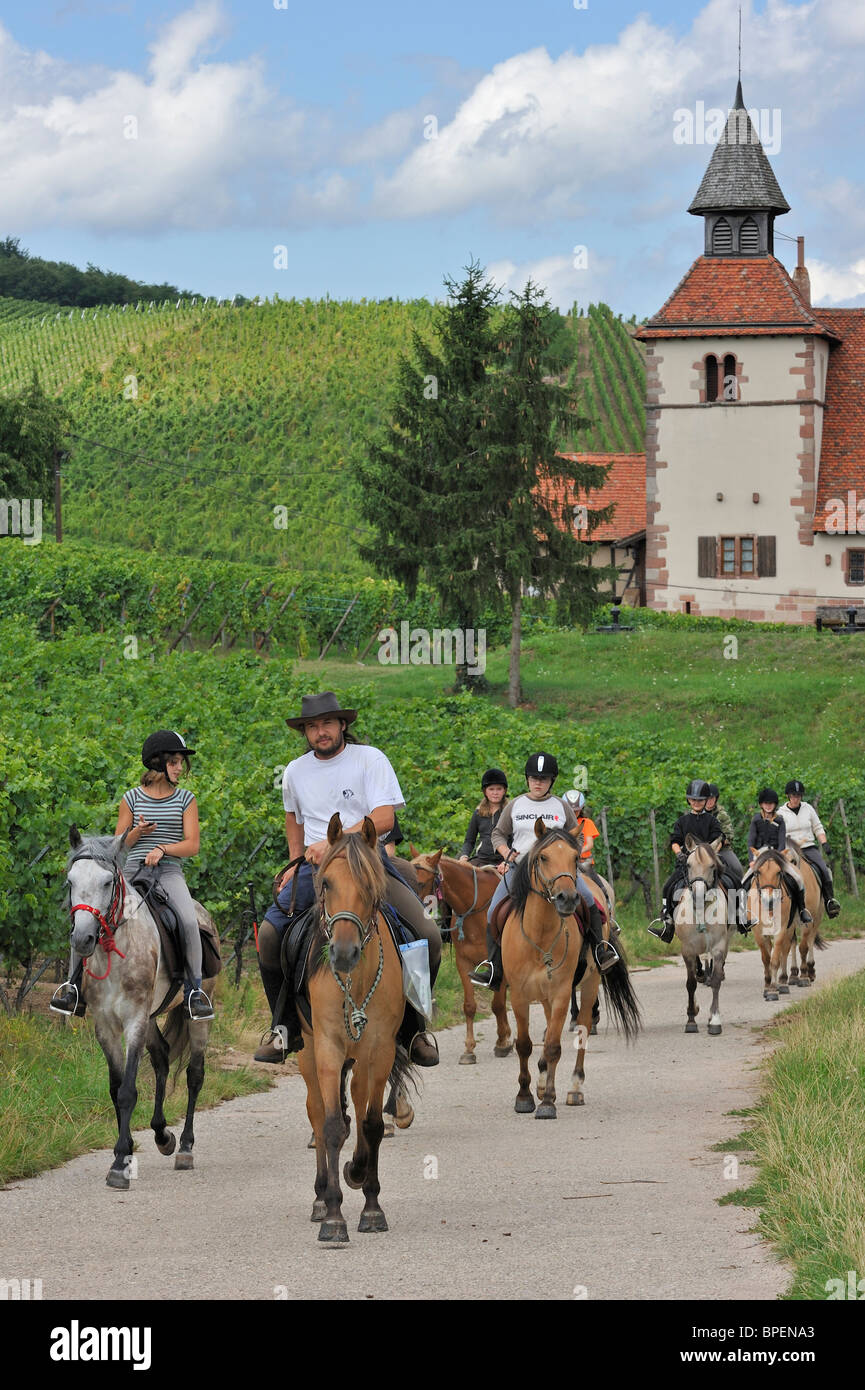 Reiter, Reiten durch Weinberge in der Nähe der Kapelle Saint-Sébastien in Dambach-la-Ville, Vogesen, Elsass, Frankreich Stockfoto