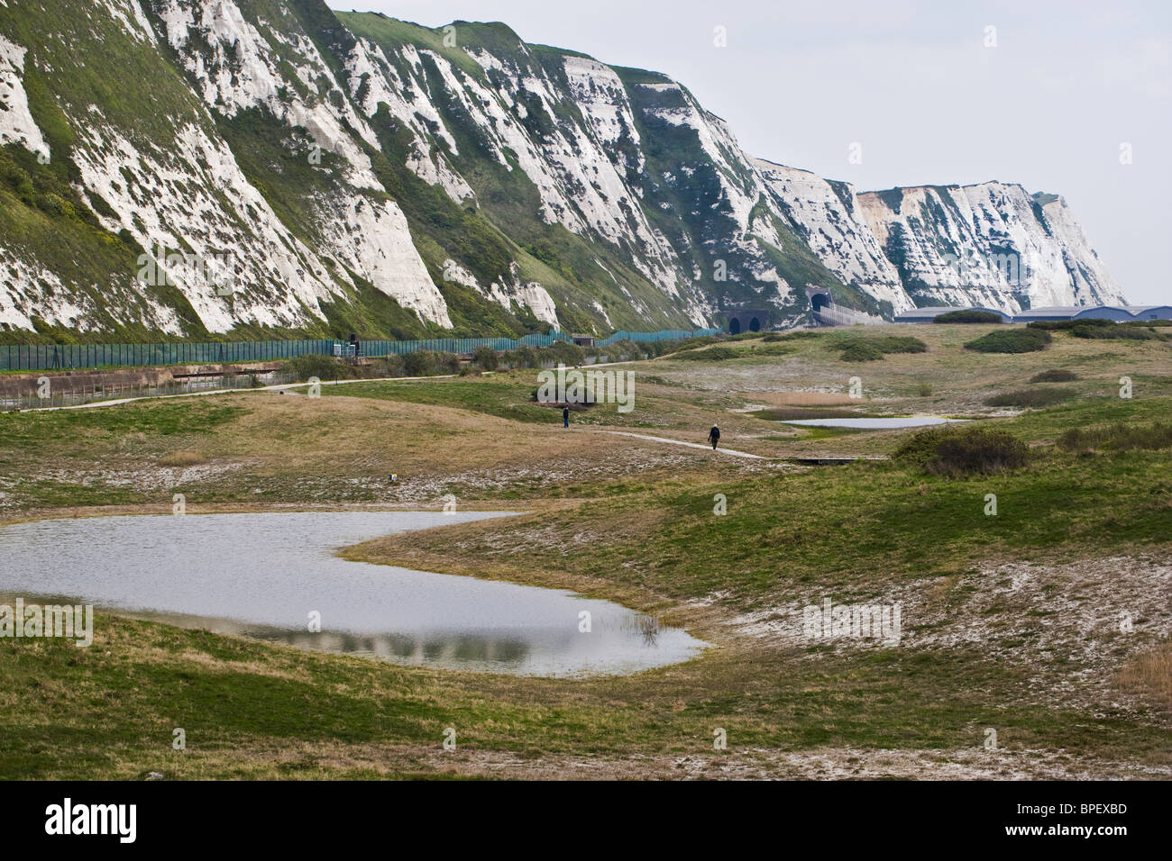 Samphire Hoe und die weißen Klippen in der Nähe von Folkestone und Dover auf der Küste von Kent Stockfoto