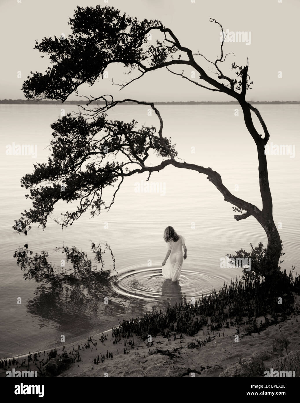 Schwarz und weiß der Frau im Wasser unter einem Baum stehend Stockfoto