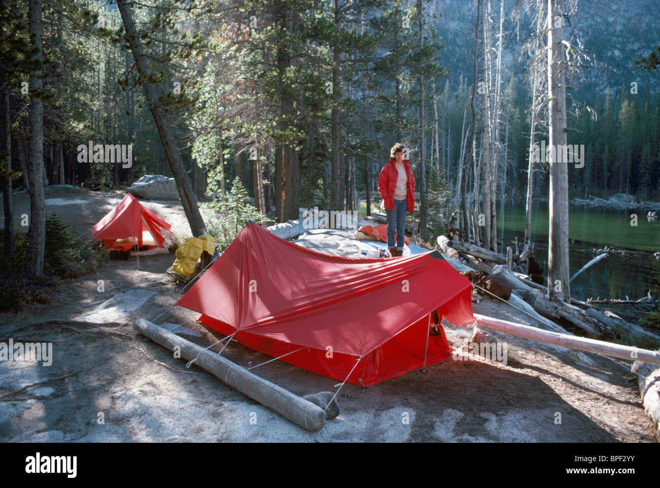 Wildnis-Camping, Zelten eingerichtet auf Zelt Campingplatz in West Coast  Wald, Vancouver Island, BC, Britisch-Kolumbien, Kanada Stockfotografie -  Alamy
