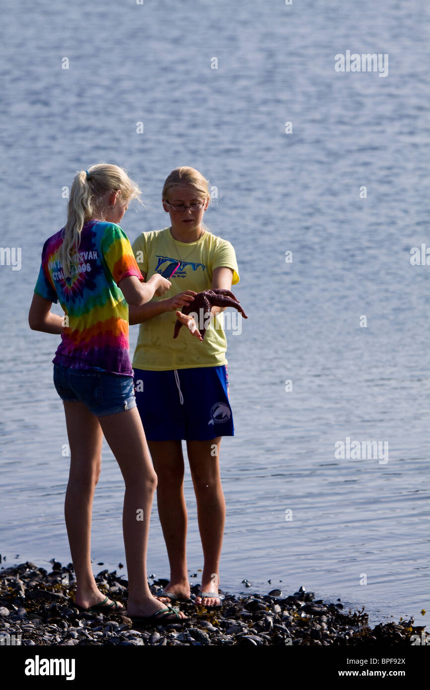 Seestern, Fotograf mit einem Handy von einem blonden Mädchen in Bar Harbor, Acadia National Park. Stockfoto