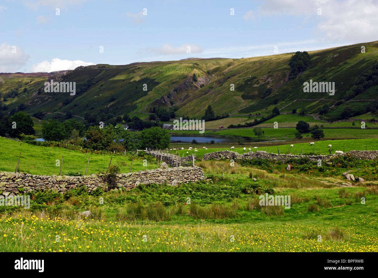 Blick über Watendlath Tarn von großen Felsen in der Lake District National Park, Cumbria. Stockfoto