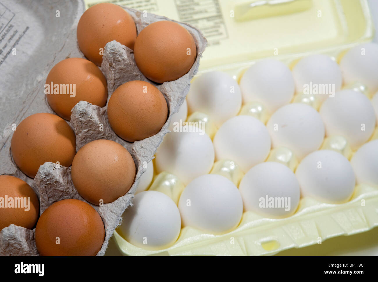 Weißen und braunen Eiern in Kartons. Stockfoto