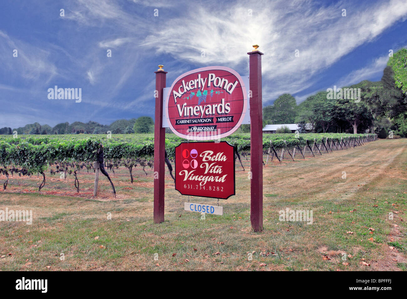 Ackerly Teich und Bella Vita Weingut und die Weinberge Peconic North Fork des östlichen Long Island NY Stockfoto