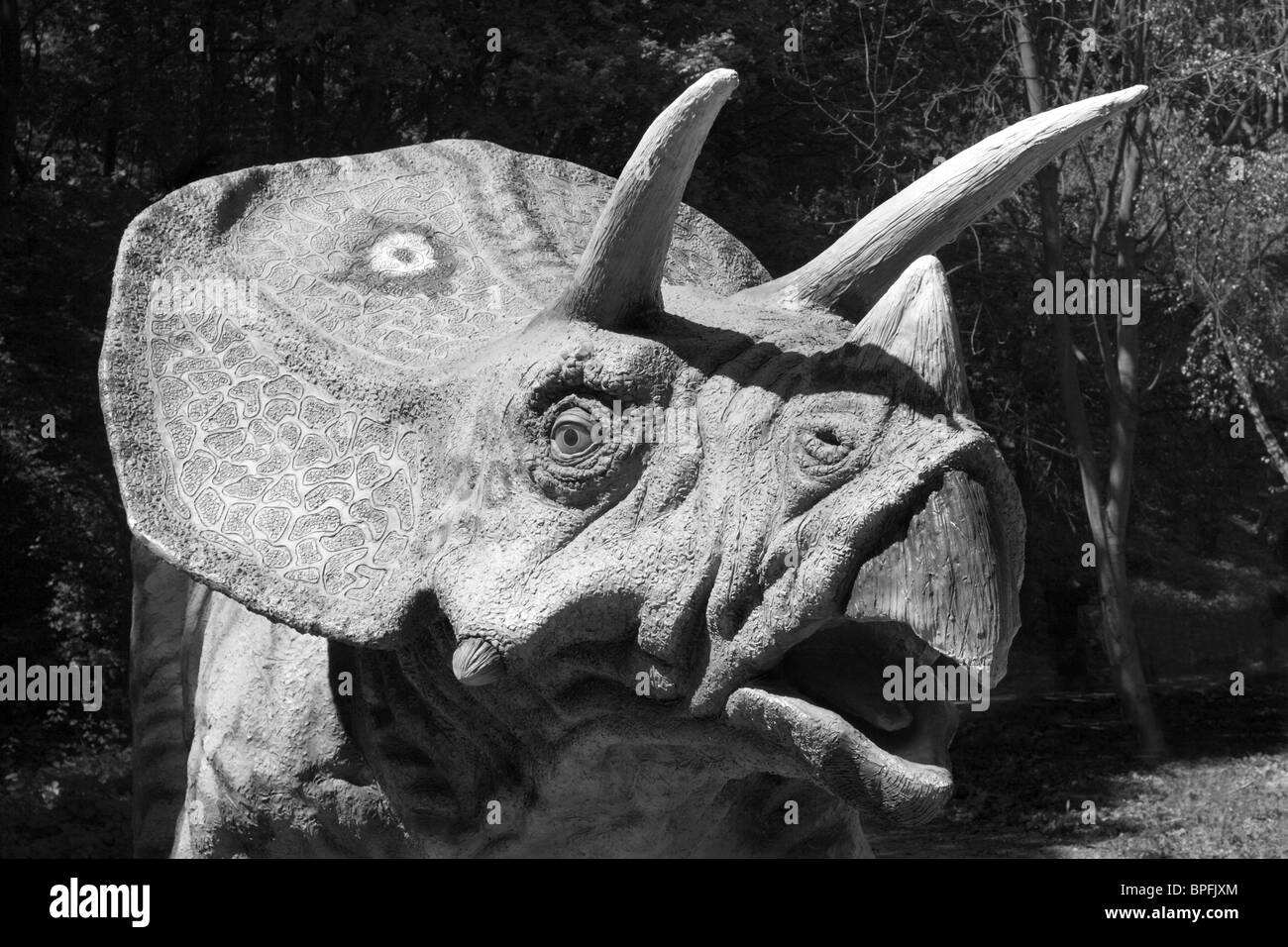 Leiter der Triceratops aus Bratislava zoo Stockfoto