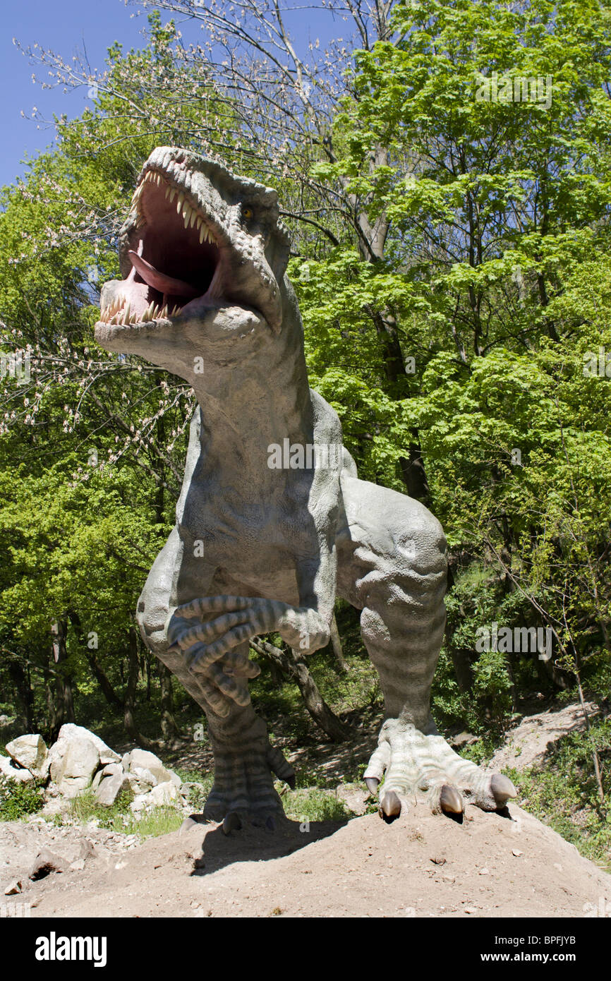Tarbosaurus aus Bratislava zoo Stockfoto