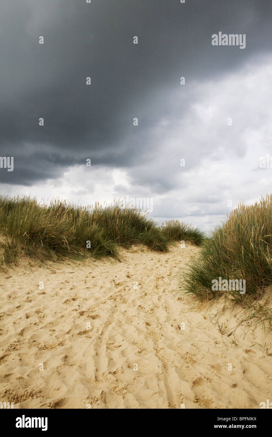 Sanddünen hinter Southwold Strand, Suffolk, England, UK. Stockfoto