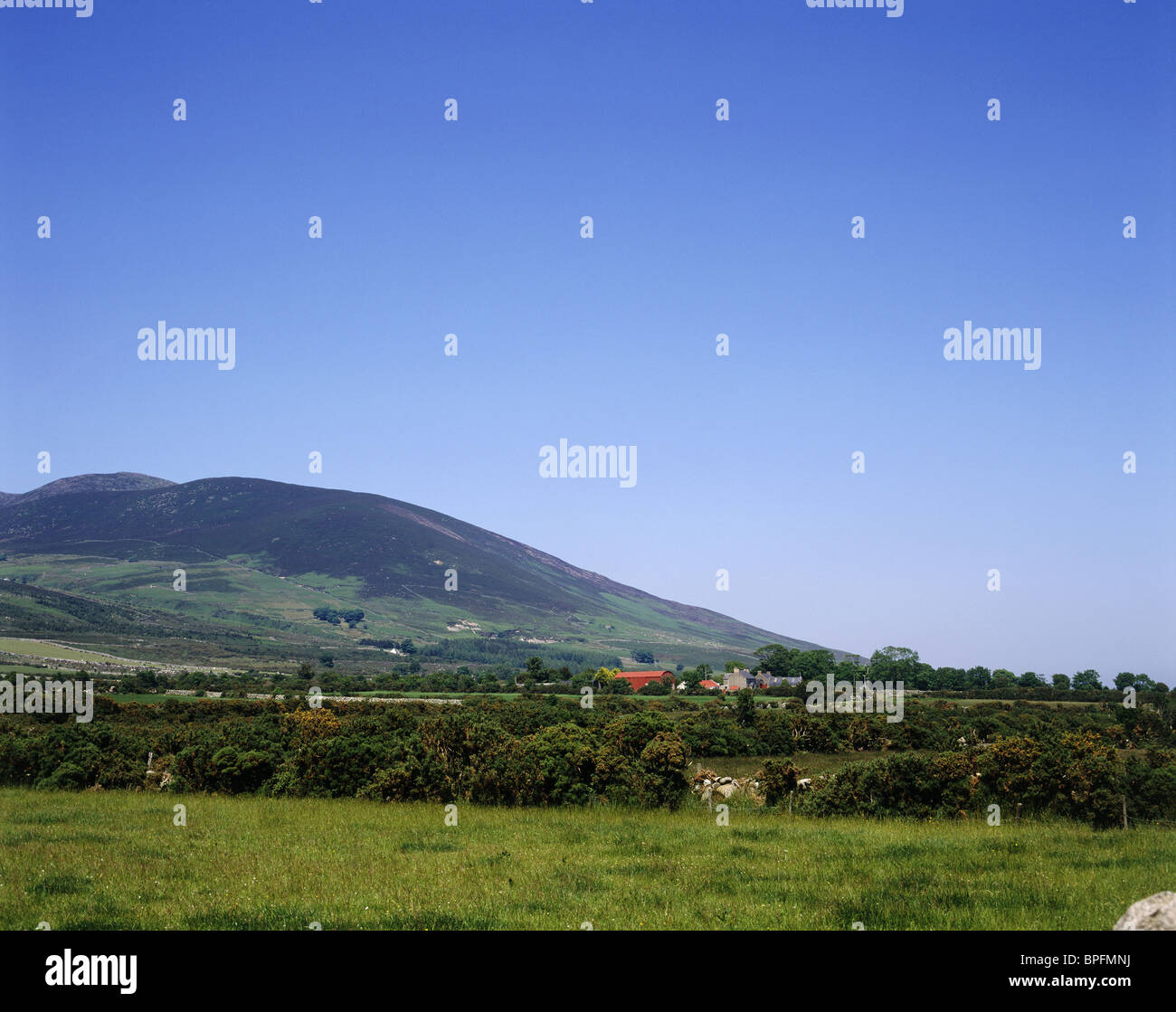 Mourne Mountains, Co. Down, Nordirland Stockfoto