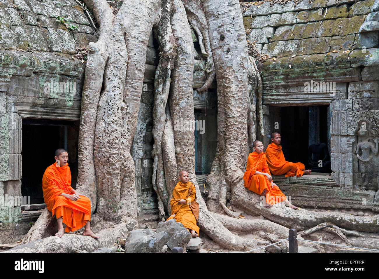 TA Reap Phrohm-Tempel, Angkor Wat, Siem, Kambodscha Stockfoto