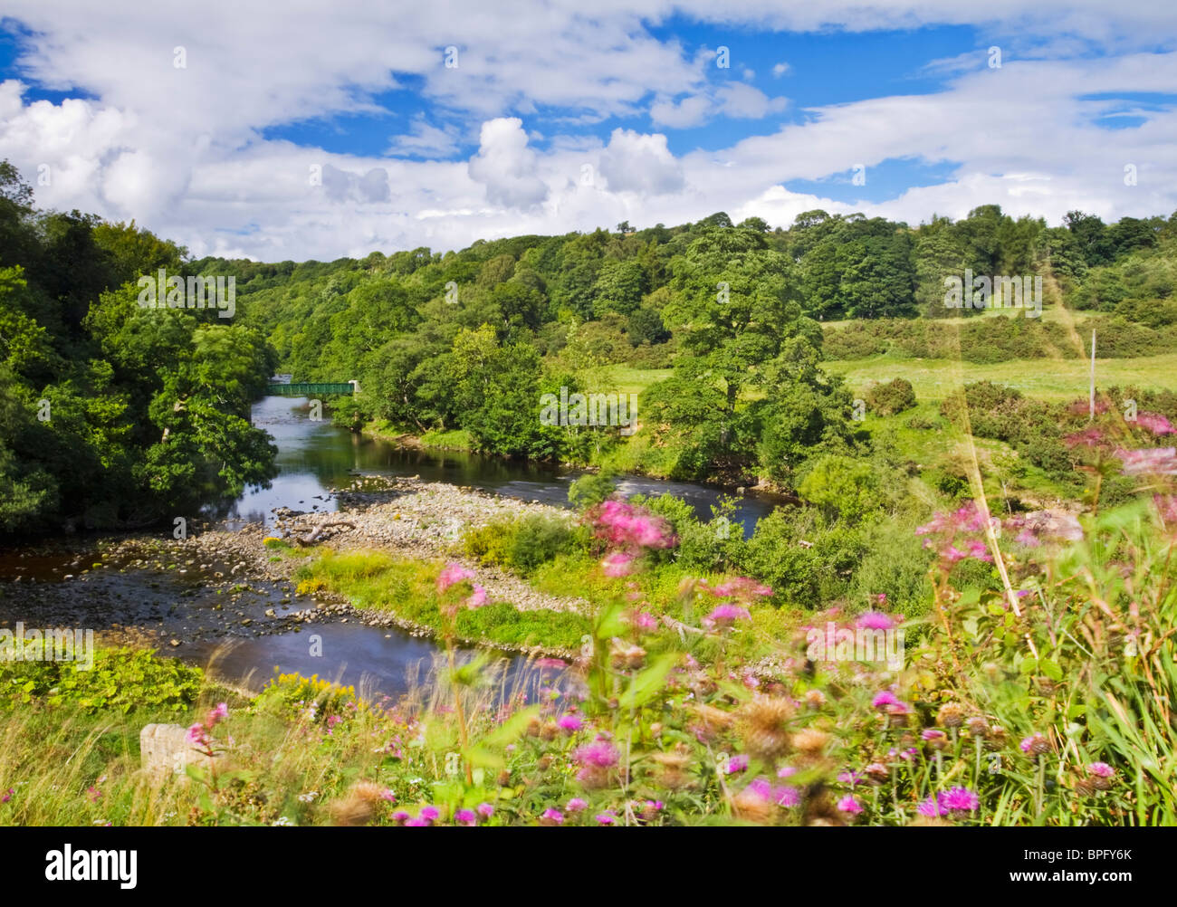 Des Flusses Tees in der Nähe der Ortschaft Cotherstone, Teesdale, County Durham, England Stockfoto