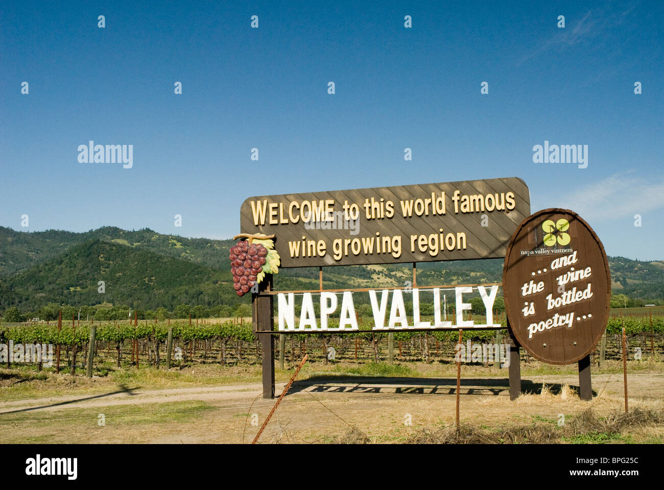 Weinherstellung im kalifornischen Napa Valley region Stockfoto