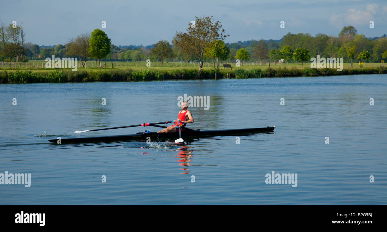 einzelne Ruderer auf der Themse in der Nähe von Henley Stockfoto