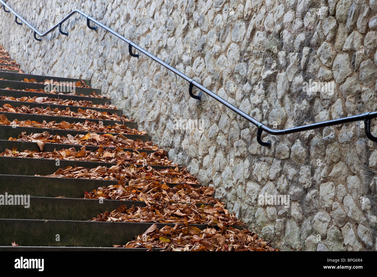 the staircase tod auf der treppe