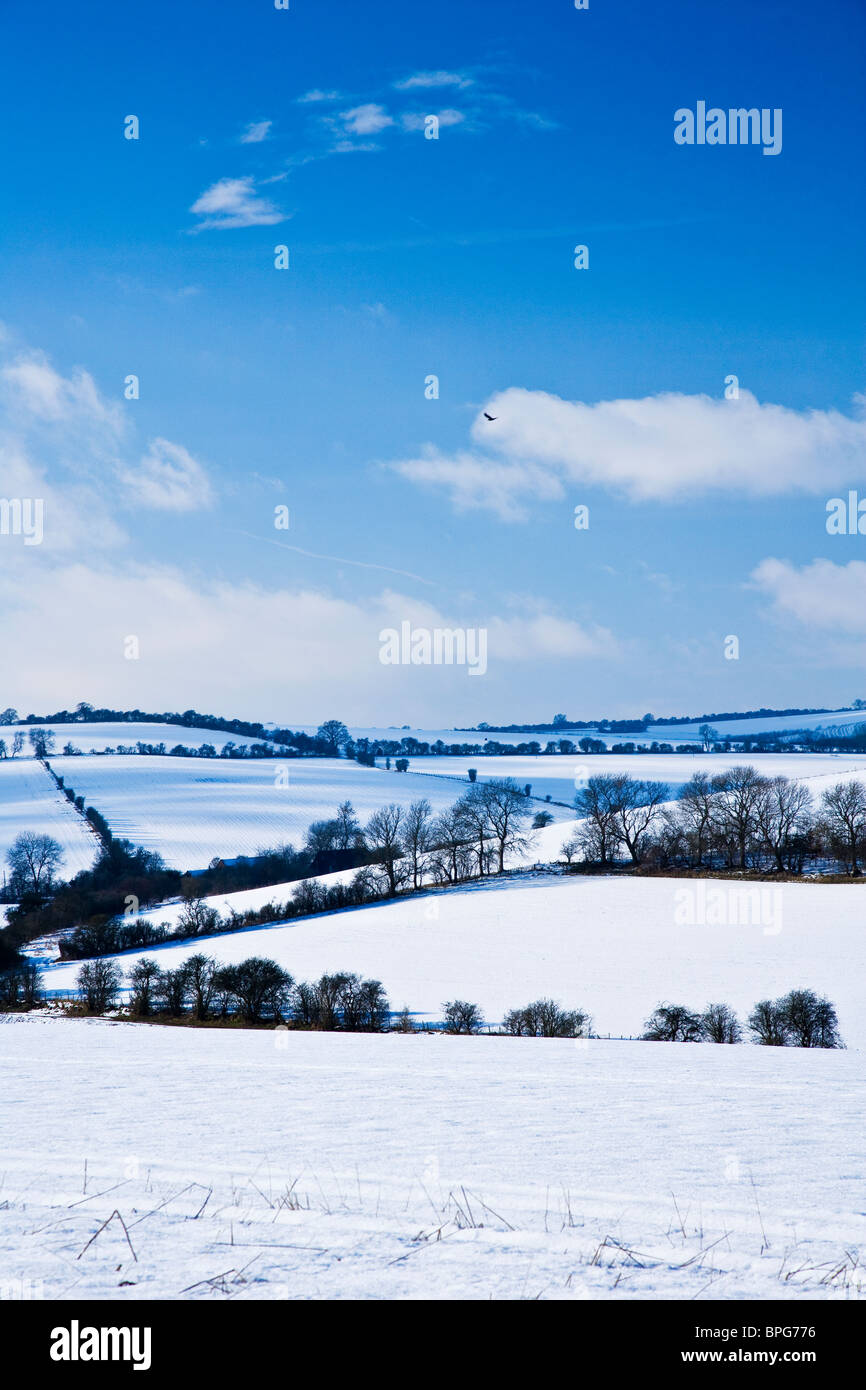 Eine sonnige, Schnee, Winter Landschaftsansicht oder Szene auf den Downs in Wiltshire, England, UK Stockfoto