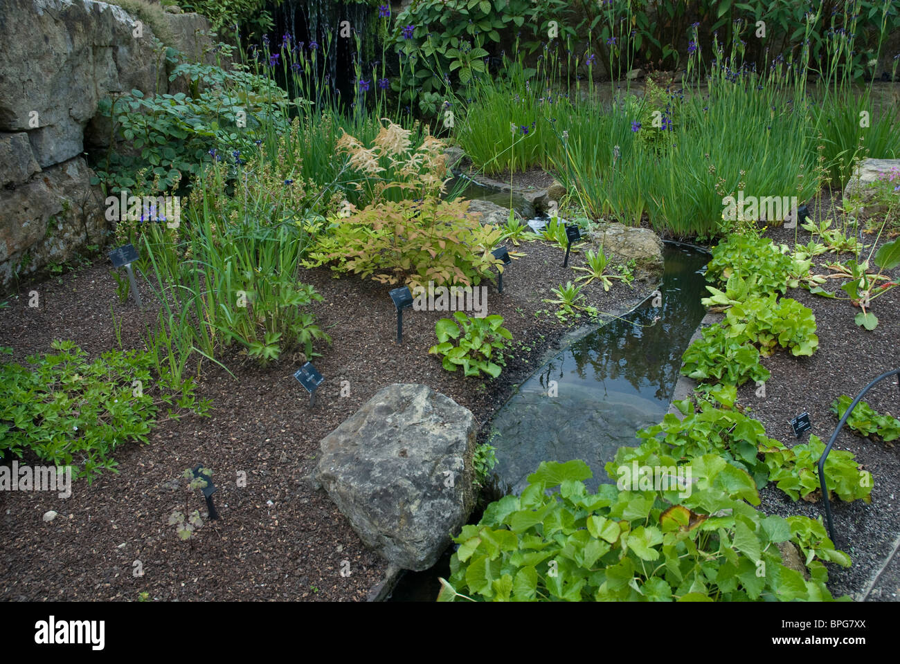 Der Steingarten und Wasserfall, Kew Gardens, Surrey, UK Stockfoto