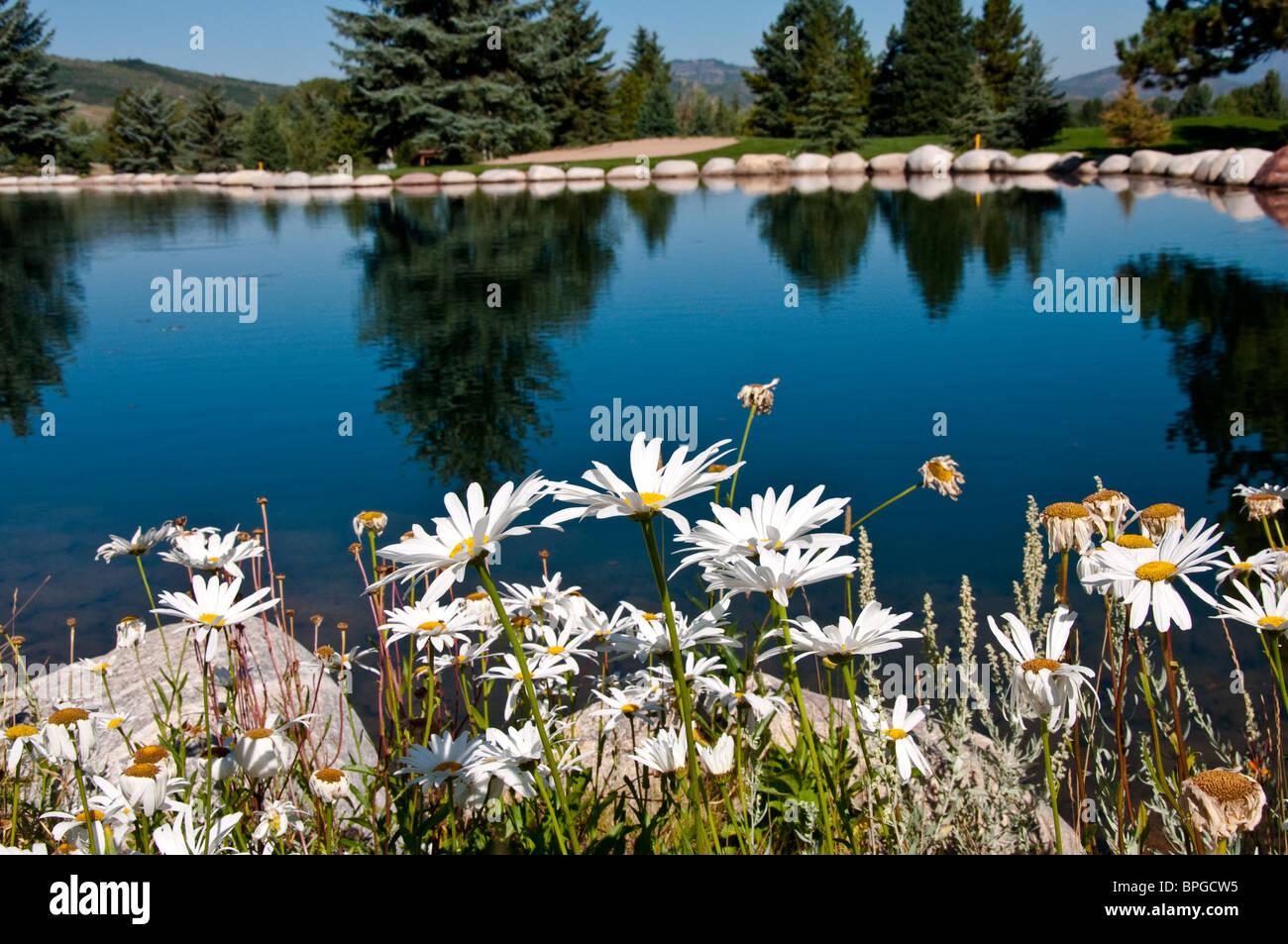 Der See am 14. Loch Golfplatz Aspen, Aspen, Colorado Stockfoto